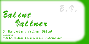 balint vallner business card